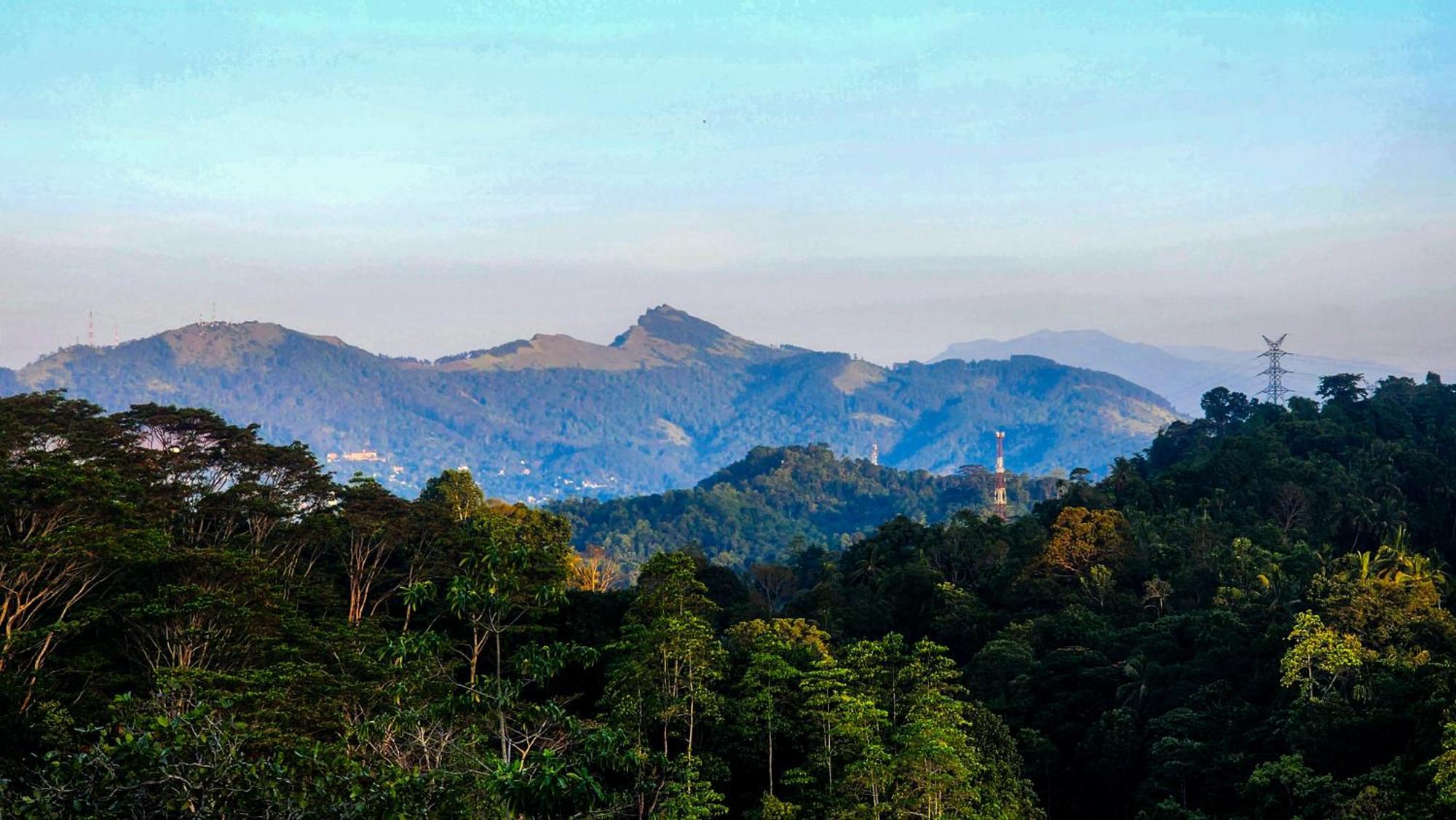 Kobbekaduwa Bungalow Kandy Dış mekan fotoğraf