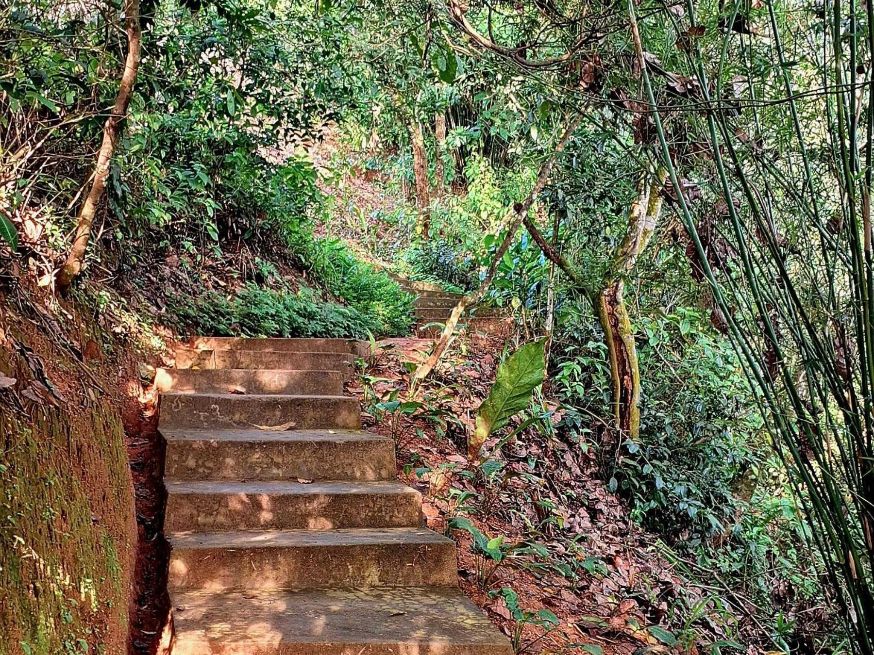 Kobbekaduwa Bungalow Kandy Dış mekan fotoğraf