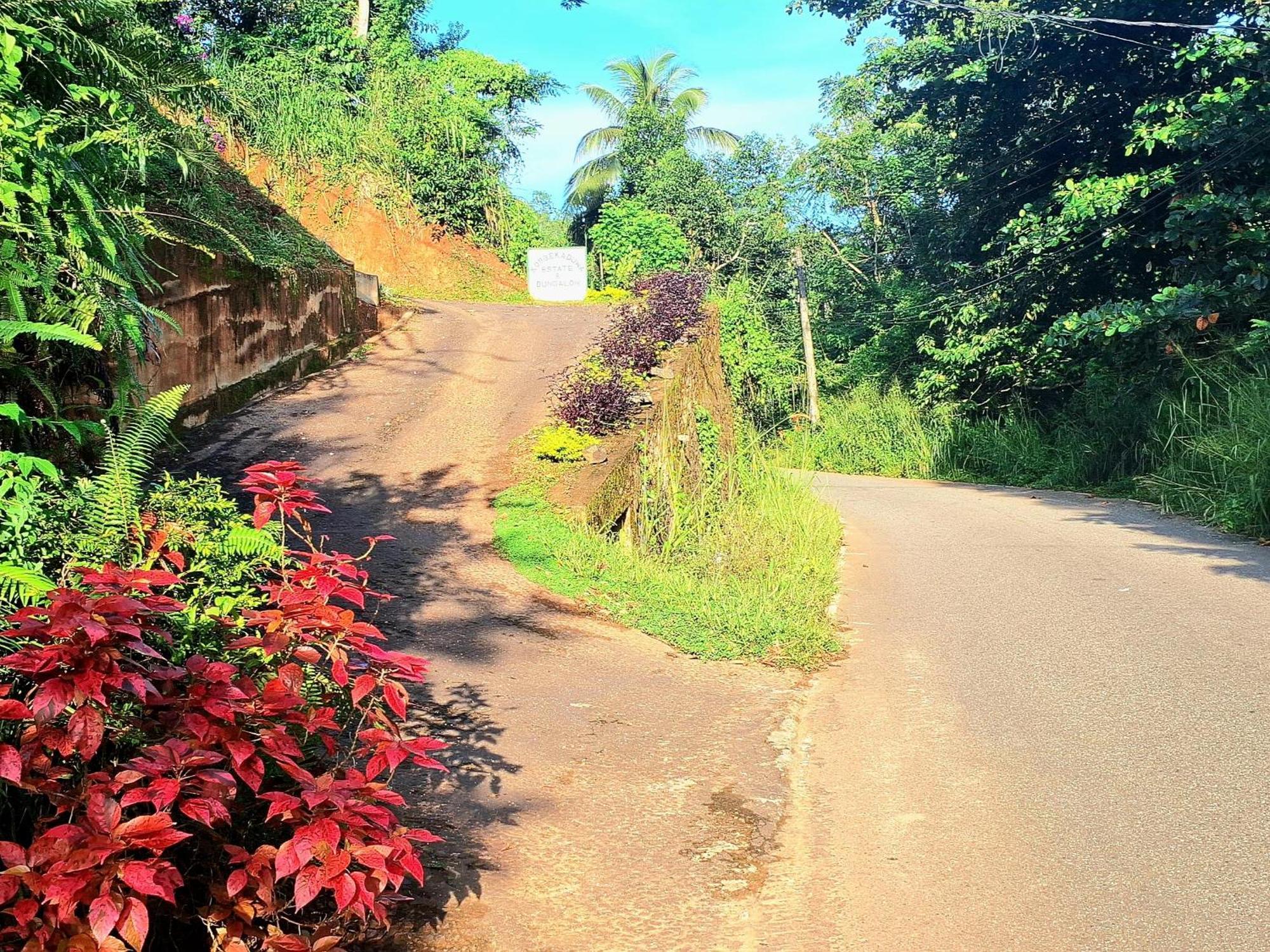 Kobbekaduwa Bungalow Kandy Dış mekan fotoğraf